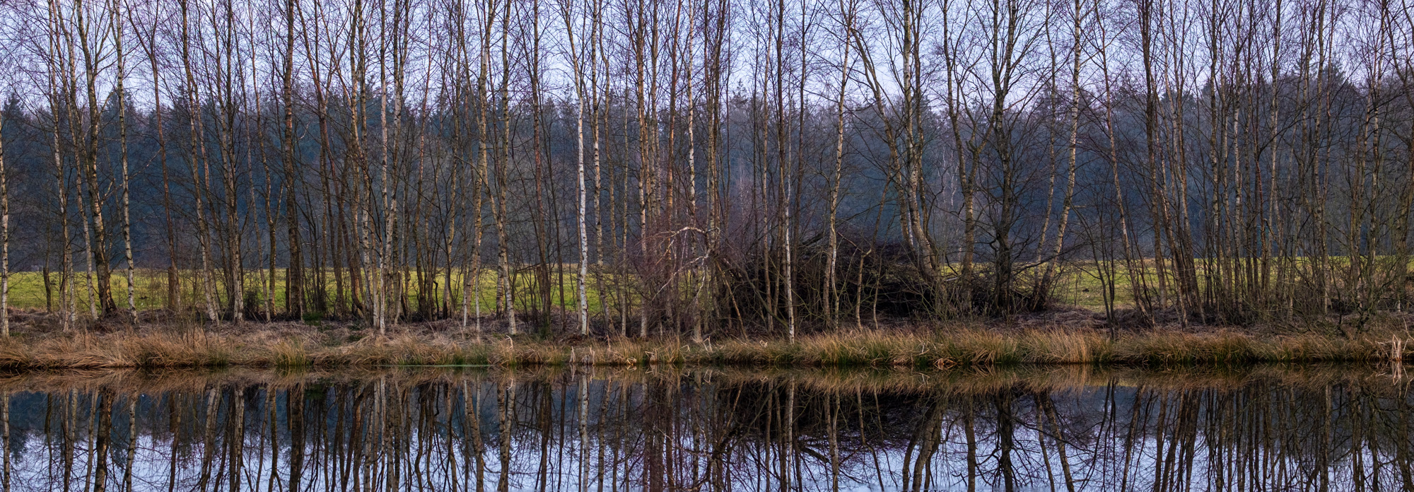 2023 03 18  xt 5   3055